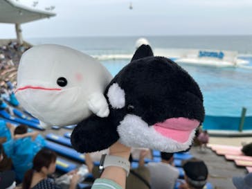 鴨川シーワールドに投稿された画像（2024/5/24）