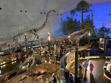 福井県立恐竜博物館に投稿された画像（2024/5/24）