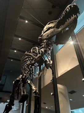 福井県立恐竜博物館に投稿された画像（2024/5/24）