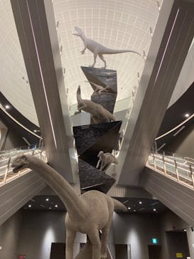福井県立恐竜博物館に投稿された画像（2024/5/24）