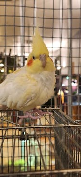 Moff animal cafe イオンモール幕張新都心店に投稿された画像（2024/5/24）