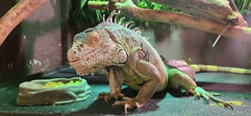 Moff animal cafe イオンモール幕張新都心店に投稿された画像（2024/5/24）