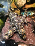天王寺動物園に投稿された画像（2024/5/24）