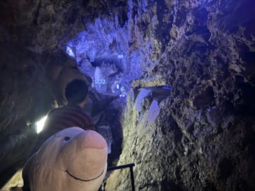 飛騨大鍾乳洞＆大橋コレクション館に投稿された画像（2024/5/24）