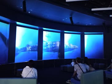 DMMかりゆし水族館に投稿された画像（2024/5/24）