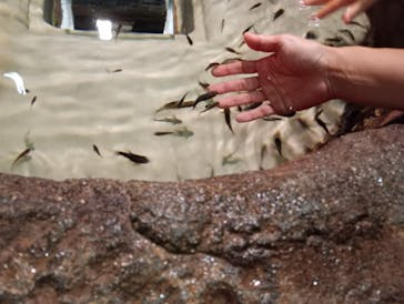 DMMかりゆし水族館に投稿された画像（2024/5/24）