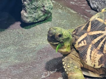サンシャイン水族館に投稿された画像（2024/5/24）
