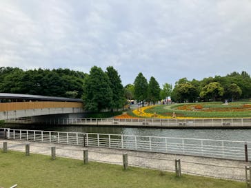 浜名湖花博2024に投稿された画像（2024/5/24）