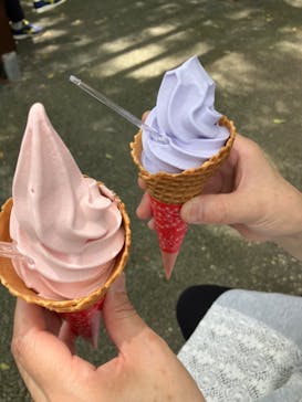 浜名湖花博2024に投稿された画像（2024/5/24）