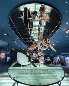 名古屋港水族館に投稿された画像（2024/5/25）