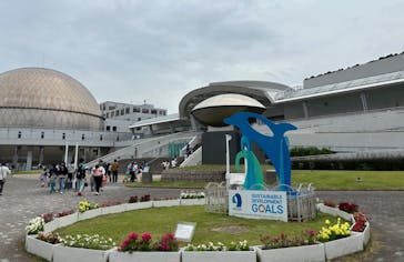 名古屋港水族館に投稿された画像（2024/5/25）