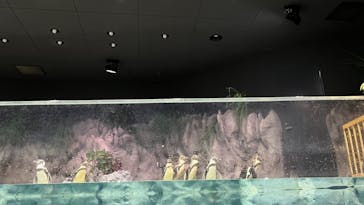 DMMかりゆし水族館に投稿された画像（2024/5/25）
