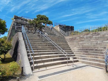 元離宮二条城に投稿された画像（2024/5/25）