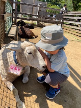 成田ゆめ牧場に投稿された画像（2024/5/25）