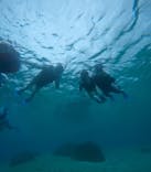 宮古島 ADVENTURE PiPi（ミヤコジマ アドベンチャー ピピ）に投稿された画像（2024/5/25）