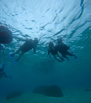 宮古島 ADVENTURE PiPi（ミヤコジマ アドベンチャー ピピ）に投稿された画像（2024/5/25）