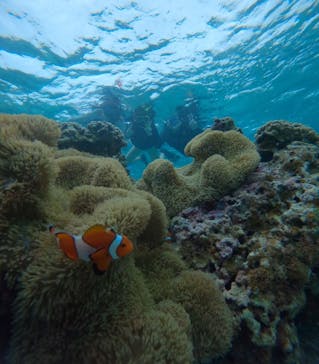 宮古島 ADVENTURE PiPi（ミヤコジマ アドベンチャー ピピ）に投稿された画像（2024/5/25）