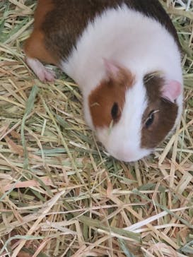 阿蘇カドリー・ドミニオンに投稿された画像（2024/5/25）