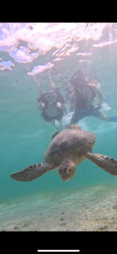 宮古島 ADVENTURE PiPi（ミヤコジマ アドベンチャー ピピ）に投稿された画像（2024/5/25）