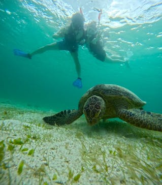 宮古島 ADVENTURE PiPi（ミヤコジマ アドベンチャー ピピ）に投稿された画像（2024/5/25）