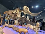 特別展「大哺乳類展３－わけてつなげて大行進」に投稿された画像（2024/5/25）