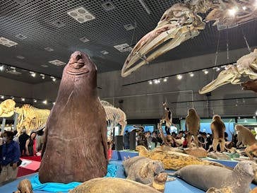 特別展「大哺乳類展３－わけてつなげて大行進」に投稿された画像（2024/5/25）