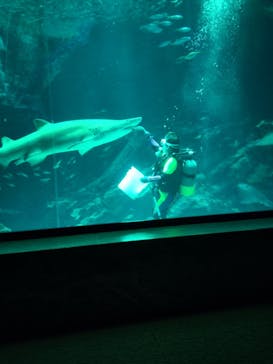 マリンワールド海の中道に投稿された画像（2024/5/25）