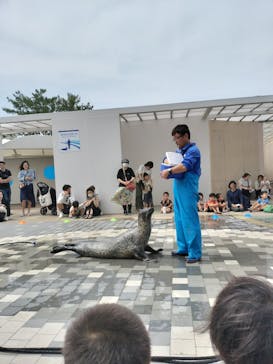 マリンワールド海の中道に投稿された画像（2024/5/25）