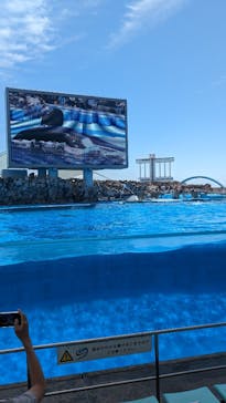 名古屋港水族館に投稿された画像（2024/5/25）