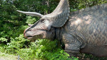 ディノアドベンチャー名古屋に投稿された画像（2024/5/25）