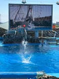 名古屋港水族館に投稿された画像（2024/5/25）
