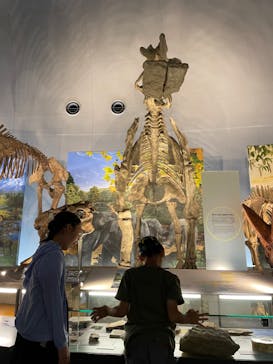 福井県立恐竜博物館に投稿された画像（2024/5/25）