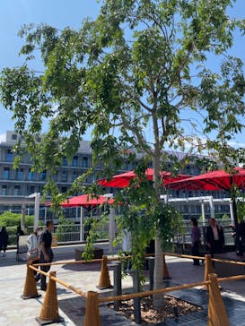 東京豊洲 万葉倶楽部に投稿された画像（2024/5/25）