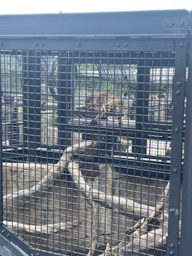 沖縄こどもの国に投稿された画像（2024/5/25）