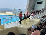マリンワールド海の中道に投稿された画像（2024/5/25）