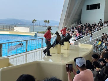 マリンワールド海の中道に投稿された画像（2024/5/25）