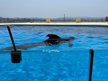 マリンワールド海の中道に投稿された画像（2024/5/25）