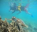 宮古島 ADVENTURE PiPi（ミヤコジマ アドベンチャー ピピ）に投稿された画像（2024/5/25）