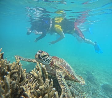 宮古島 ADVENTURE PiPi（ミヤコジマ アドベンチャー ピピ）に投稿された画像（2024/5/25）