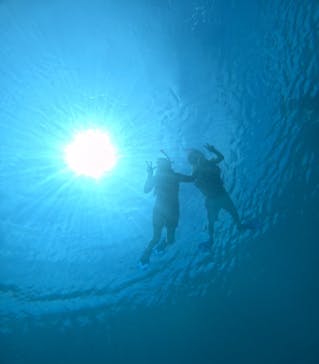 宮古島 ADVENTURE PiPi（ミヤコジマ アドベンチャー ピピ）に投稿された画像（2024/5/25）