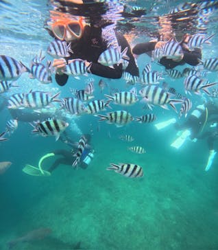 沖縄マリンサービス碧に投稿された画像（2024/5/25）