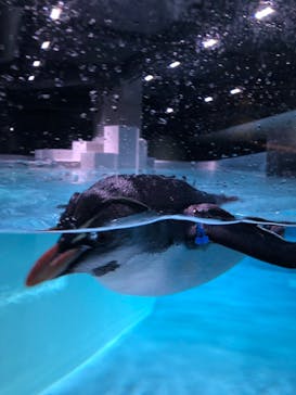 AOAO SAPPOROに投稿された画像（2024/5/25）