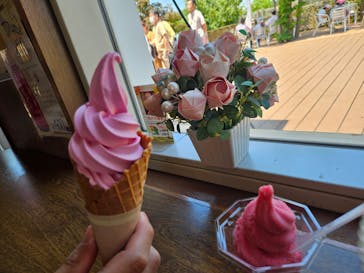 京成バラ園に投稿された画像（2024/5/25）