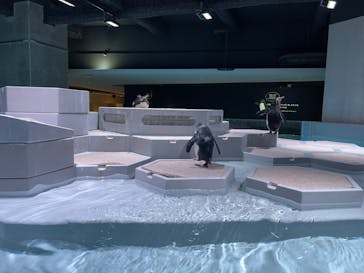 AOAO SAPPOROに投稿された画像（2024/5/25）