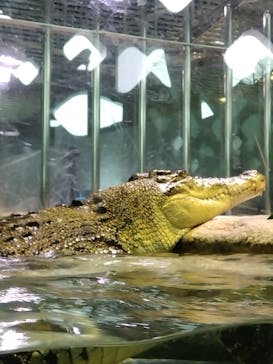 NIFREL（ニフレル）に投稿された画像（2024/5/25）