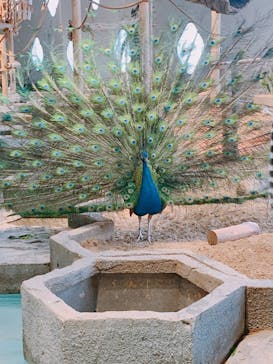 NIFREL（ニフレル）に投稿された画像（2024/5/25）