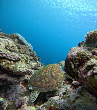  マリンショップHAPPYに投稿された画像（2024/5/25）