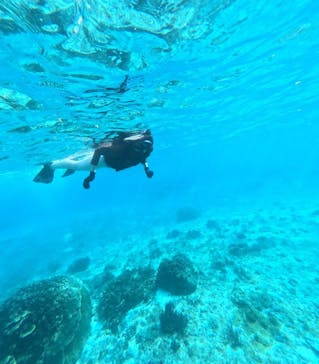 オースリーシュノーケル宮古島に投稿された画像（2024/5/25）