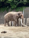 横浜市立金沢動物園に投稿された画像（2024/5/25）