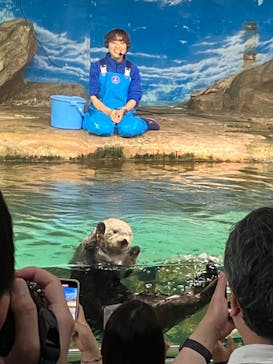 マリンワールド海の中道に投稿された画像（2024/5/25）